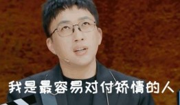 娱乐圈爆料瓜王,揭秘明星幕后真相，独家爆料一网打尽