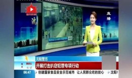 沈阳月亮爆料视频最新,神秘事件背后真相揭晓