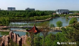 濮阳都市爆料最新消息新闻,最新突发！揭秘濮阳某重大事件真相