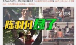 文轩真实爆料是谁啊视频,揭秘“文轩真实爆料是谁”视频背后的真相