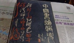 滕州探店爆料视频大全,美食地图上的隐藏宝藏