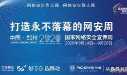 晚安郑州爆料视频大全集,揭秘城市夜生活魅力瞬间