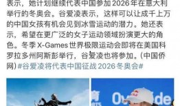博客中国新闻爆料X,中国新闻爆料X背后的真相与影响