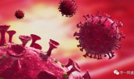 新冠病毒最新疫情爆料,全球疫情动态与防控措施解析