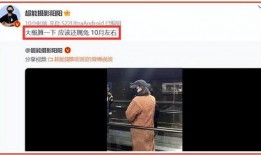 最新狗仔爆料视频播放下载,最新爆料视频播放下载，揭秘明星幕后故事