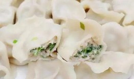 鲅鱼饺子爆料视频教程,视频揭秘家常美味饺子制作过程