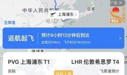 网友爆料飞机视频播放下载