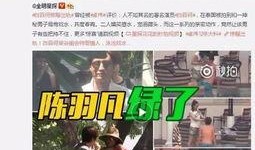 媒体爆料发现老婆出轨视频,妻子出轨视频曝光，真相令人震惊