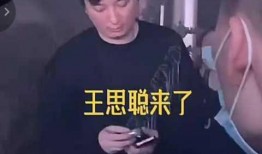王思聪先生爆料视频大全,揭秘娱乐圈幕后真相