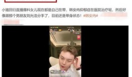 韩安冉的爆料视频大全,揭秘娱乐圈背后的真相与争议