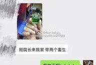 田老师爆料家长录音视频,家校沟通背后的真相