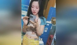 何小姐被爆料视频大全最新,揭秘网络爆料背后的真相与争议