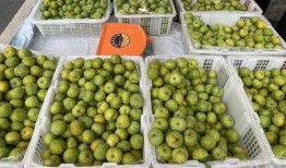 最新水果爆料,揭秘最新爆款水果榜单！”