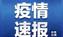 新闻爆料素材在哪里找到,探寻信息来源的秘密