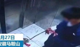 辽宁男孩爆料视频大全,揭秘真实校园生活