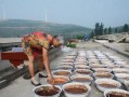 娱乐吃瓜酱农村,揭秘农村生活的趣味瞬间