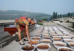 娱乐吃瓜酱农村,揭秘农村生活的趣味瞬间