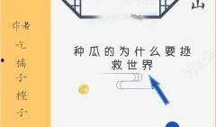 吃瓜后记小说免费阅读无弹窗,揭秘小说世界背后的精彩故事