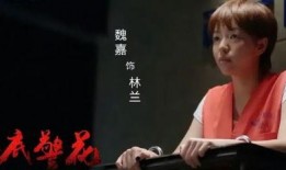 魏嘉爆料高亚麟完整版视频,揭秘背后惊人真相