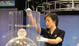 彩票内部人员爆料视频,彩票行业惊人内幕曝光