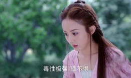 楚乔传53集在线观看,风云变幻，命运抉择！