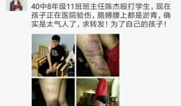 田老师爆料家长录音视频,家校沟通背后的真相