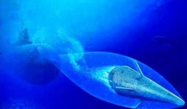 速水中2.0最新爆料,揭秘科幻巨制背后的惊喜与挑战