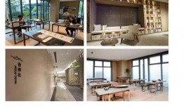 中动玩具最新爆料新闻,神秘新品即将亮相，颠覆传统玩具市场