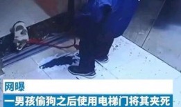 辽宁男孩爆料视频大全,揭秘真实校园生活