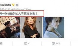 陈思诚泡椒爆料视频播放,揭秘娱乐圈幕后真相