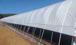 爆料养虾大棚视频教程全集,视频教程全集深度解析