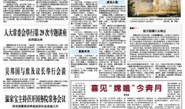新闻线索爆料案例分析题,揭秘媒体监督的力量