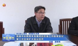 新闻爆料-----宾阳,揭秘这座广西县城的崛起之路