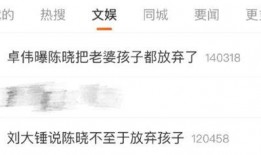 爆料人刘大锤是谁啊视频,爆料人身份之谜