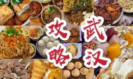 大学城美食爆料视频下载