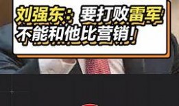雷军早期爆料视频,揭秘小米初创历程与产品研发幕后