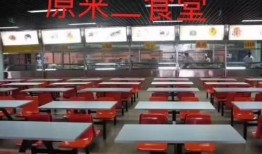 食堂大爆料视频,揭秘校园美食背后的秘密