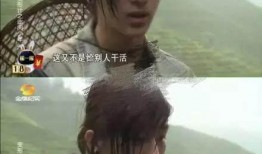 变形计爆料李宏毅视频播放,视频播放背后的真实故事