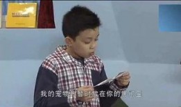 娱乐爆料小七哥是谁,小七哥的真实身份大起底