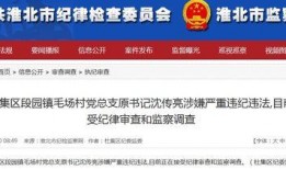 天津新闻线索爆料邮箱,揭秘城市脉搏，共筑美好家园