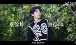 蔡徐坤的爆料视频大全,揭秘明星背后的真实生活