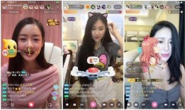 娱乐大爆料主播是谁,揭秘幕后主播是谁？