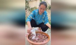 娱乐吃瓜酱农村,揭秘农村生活的趣味瞬间