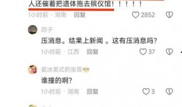 撞人新闻爆料电话吗,真相即将揭晓