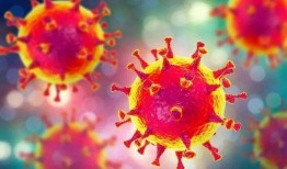 新冠病毒最新疫情爆料,全球疫情动态与防控措施解析