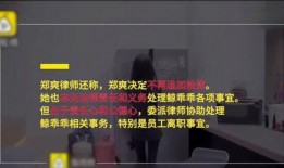 小辛科技前员工爆料视频,揭秘公司内部惊人内幕