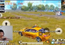 鲨鱼车队成员爆料视频播放,成员爆料视频幕后真相曝光