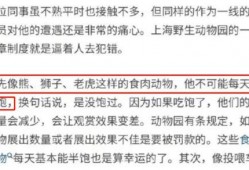中海员工爆料视频播放时间,揭秘事件背后惊人真相，播放时间引发热议