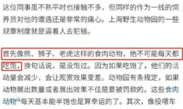 中海员工爆料视频播放时间,揭秘事件背后惊人真相，播放时间引发热议