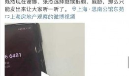 爆料者张杰录音视频下载,揭秘娱乐圈幕后真相